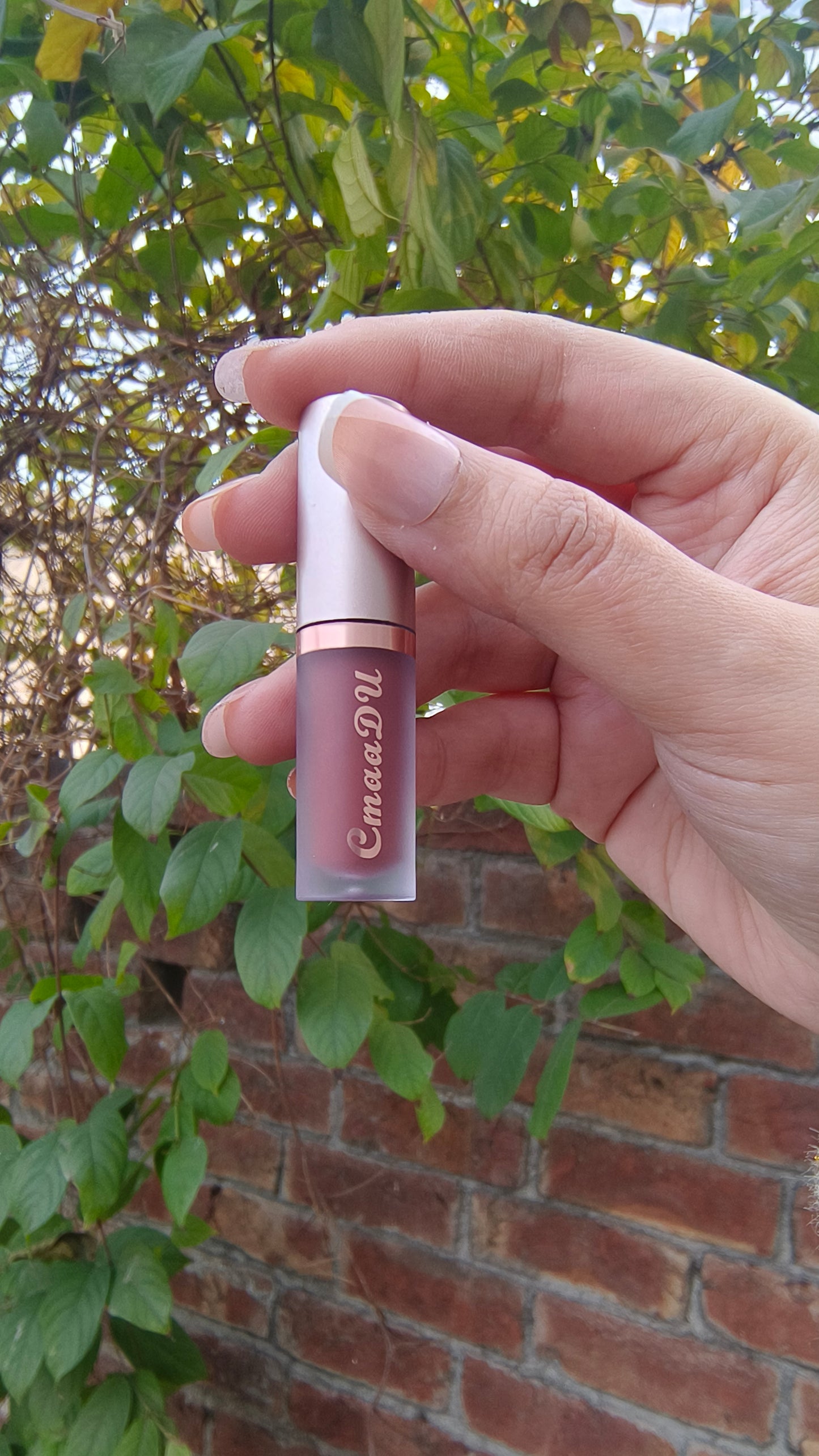 Premium Nude Brown Matte Lip Gloss