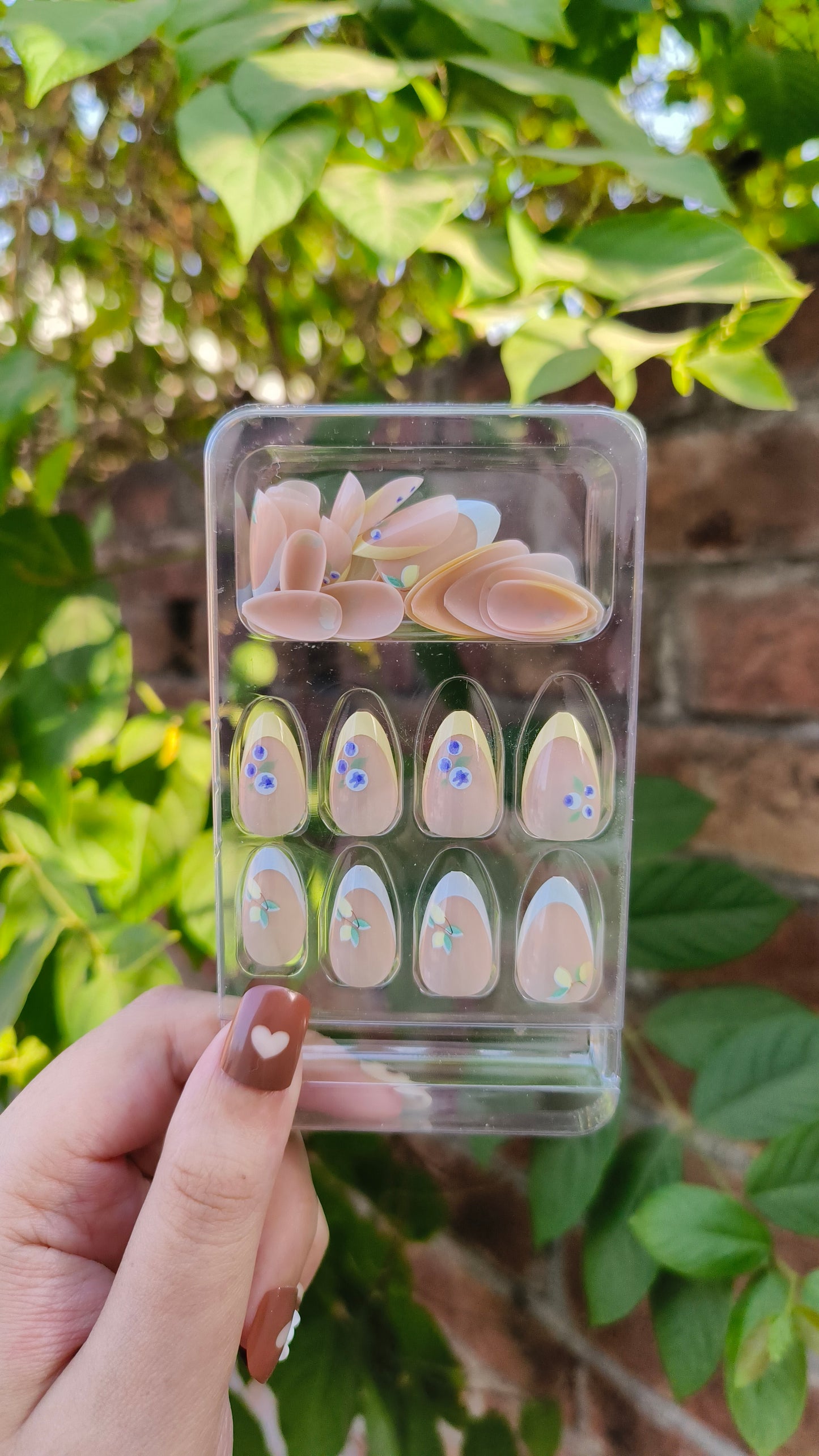 Fruit Bliss: French-Inspired Press-On Nails"