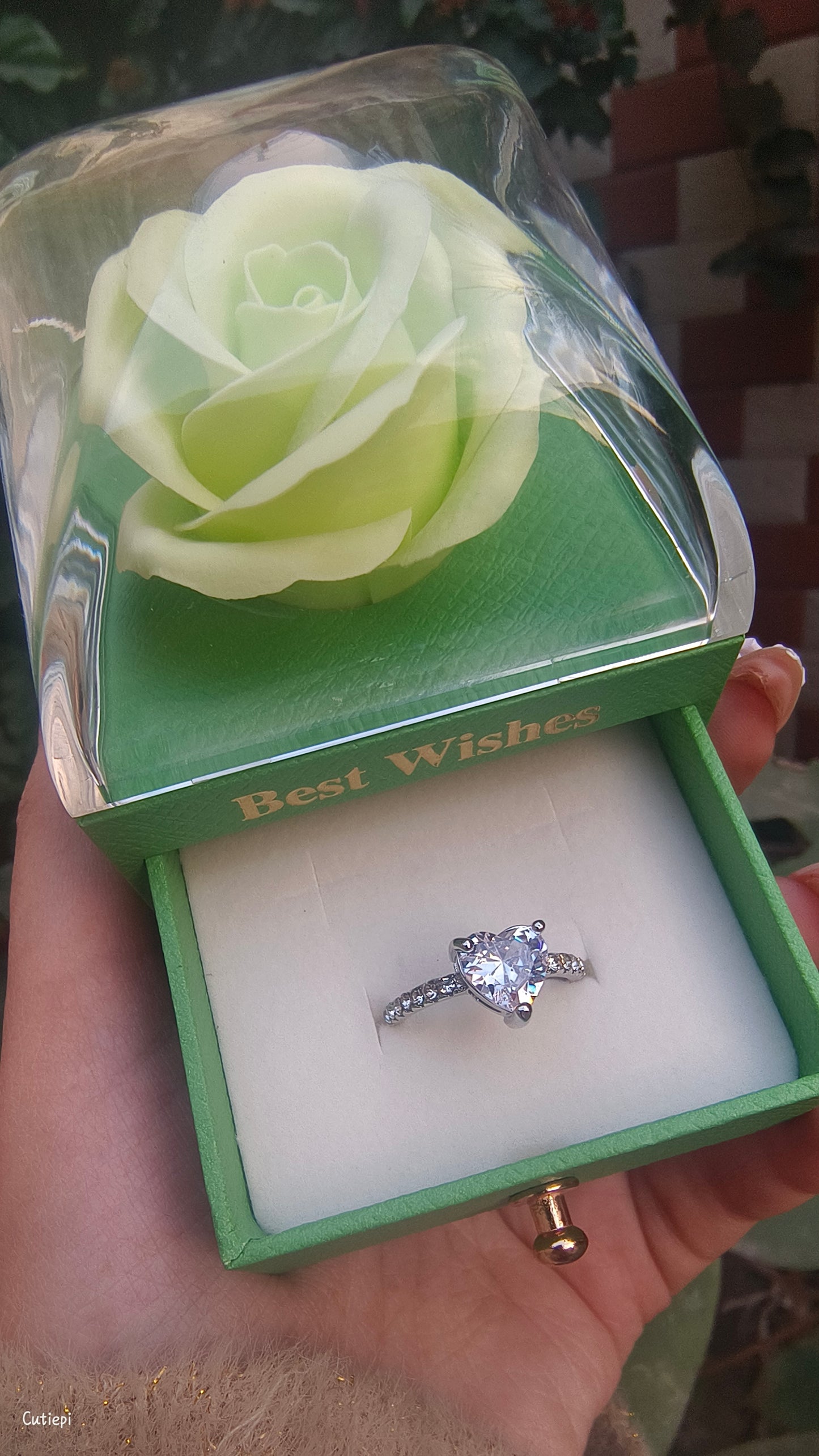 Eternal Glow Heart Zircon Ring – Sparkle That Lasts