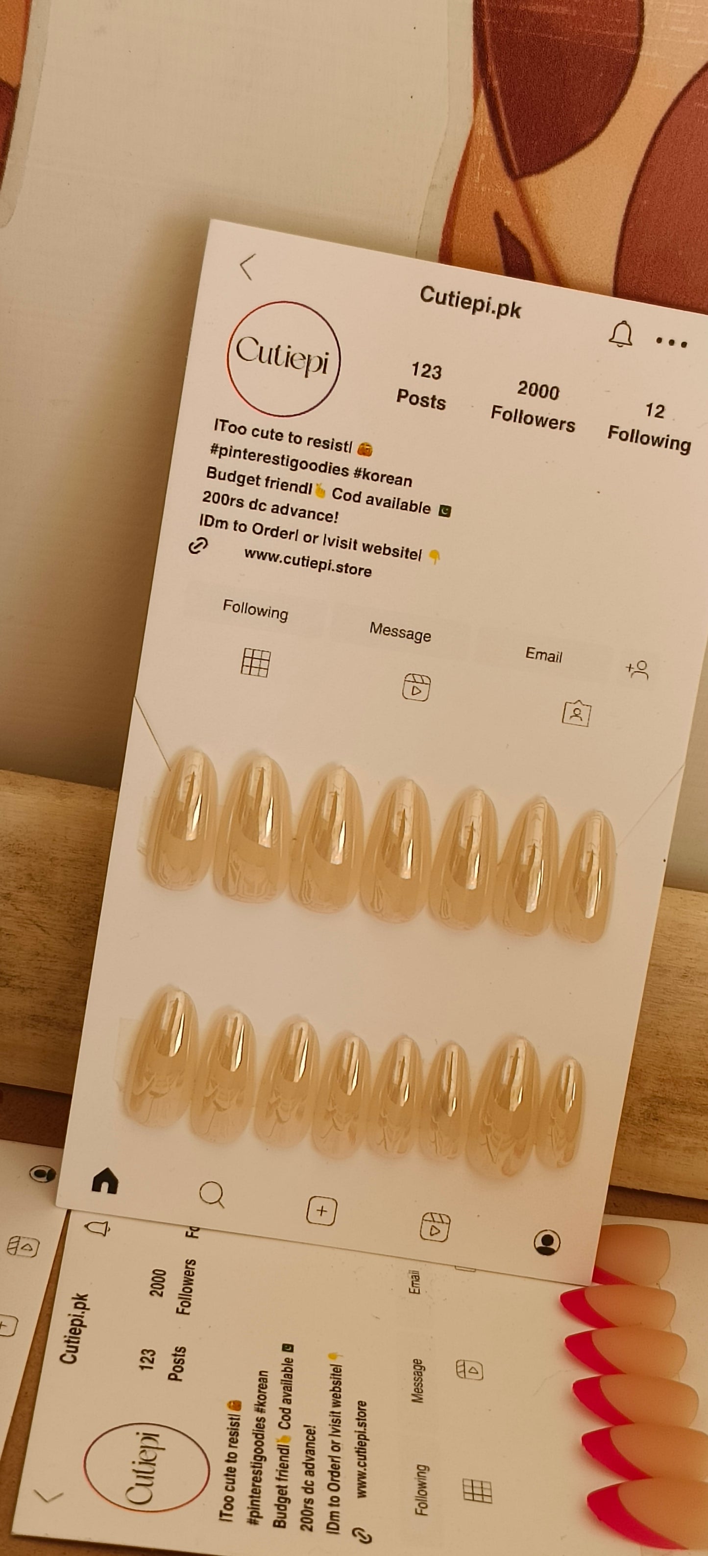 Nude Gloss – 15pcs with Application Kit