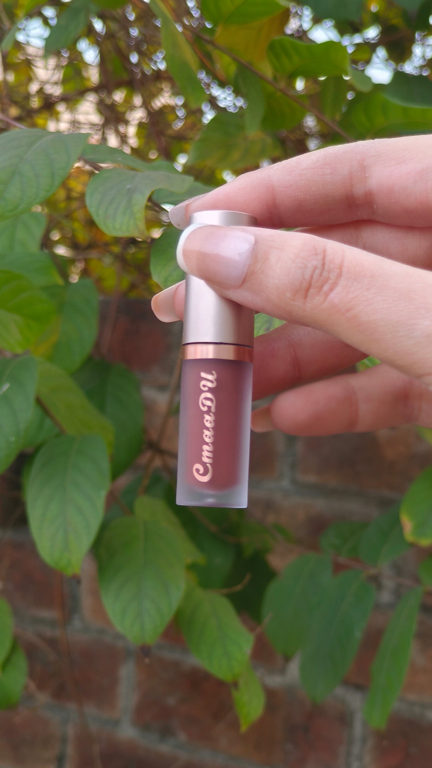 Premium Nude Brown Matte Lip Gloss