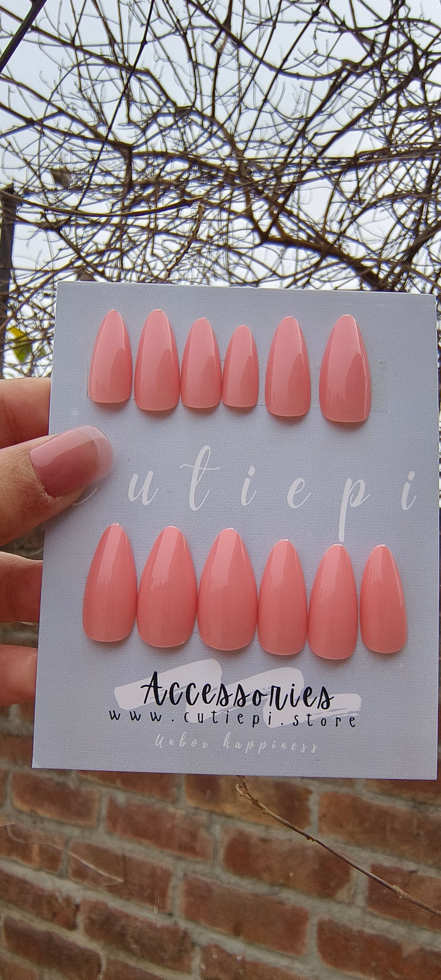 Sunset Blush – 24pcs with Application Kit