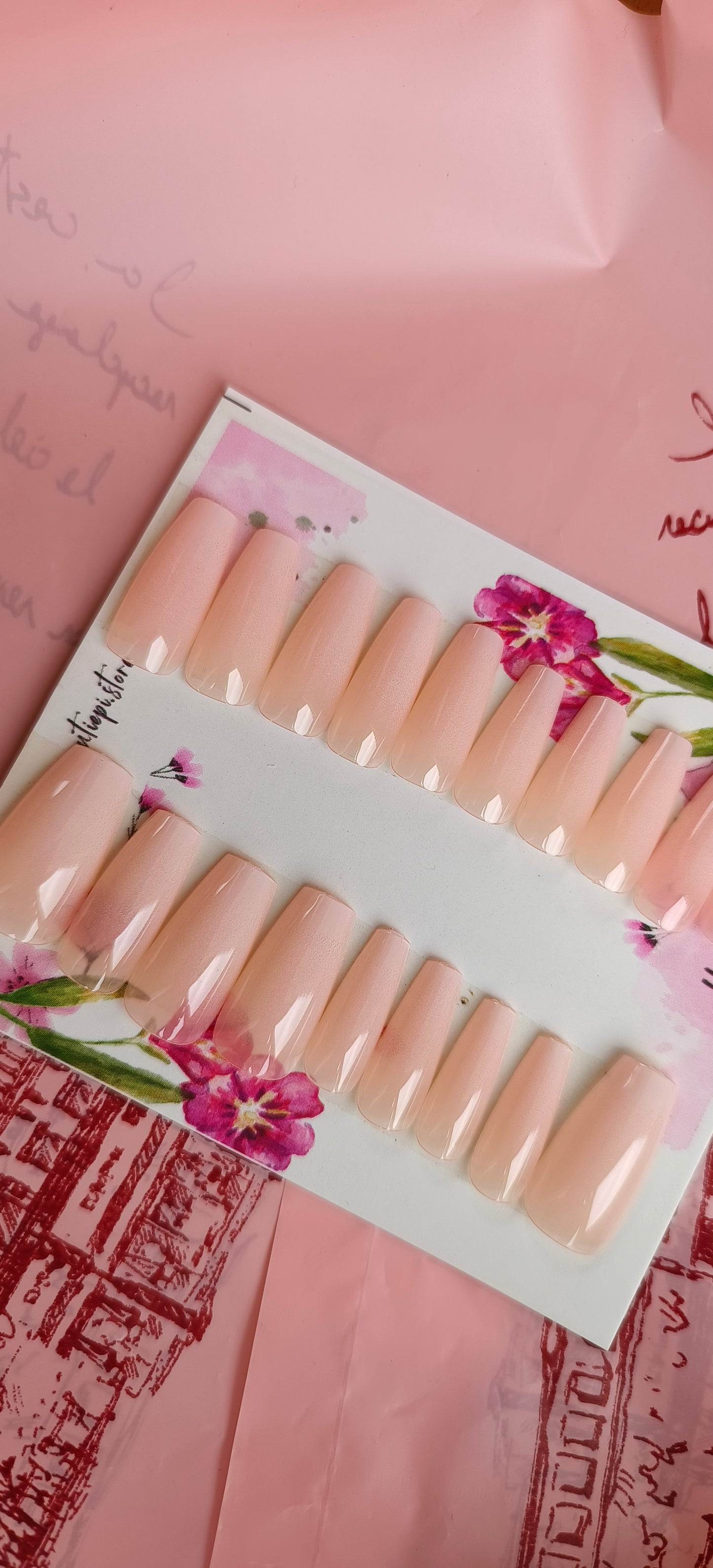 Blush Gloss – 24pcs with Application Kit