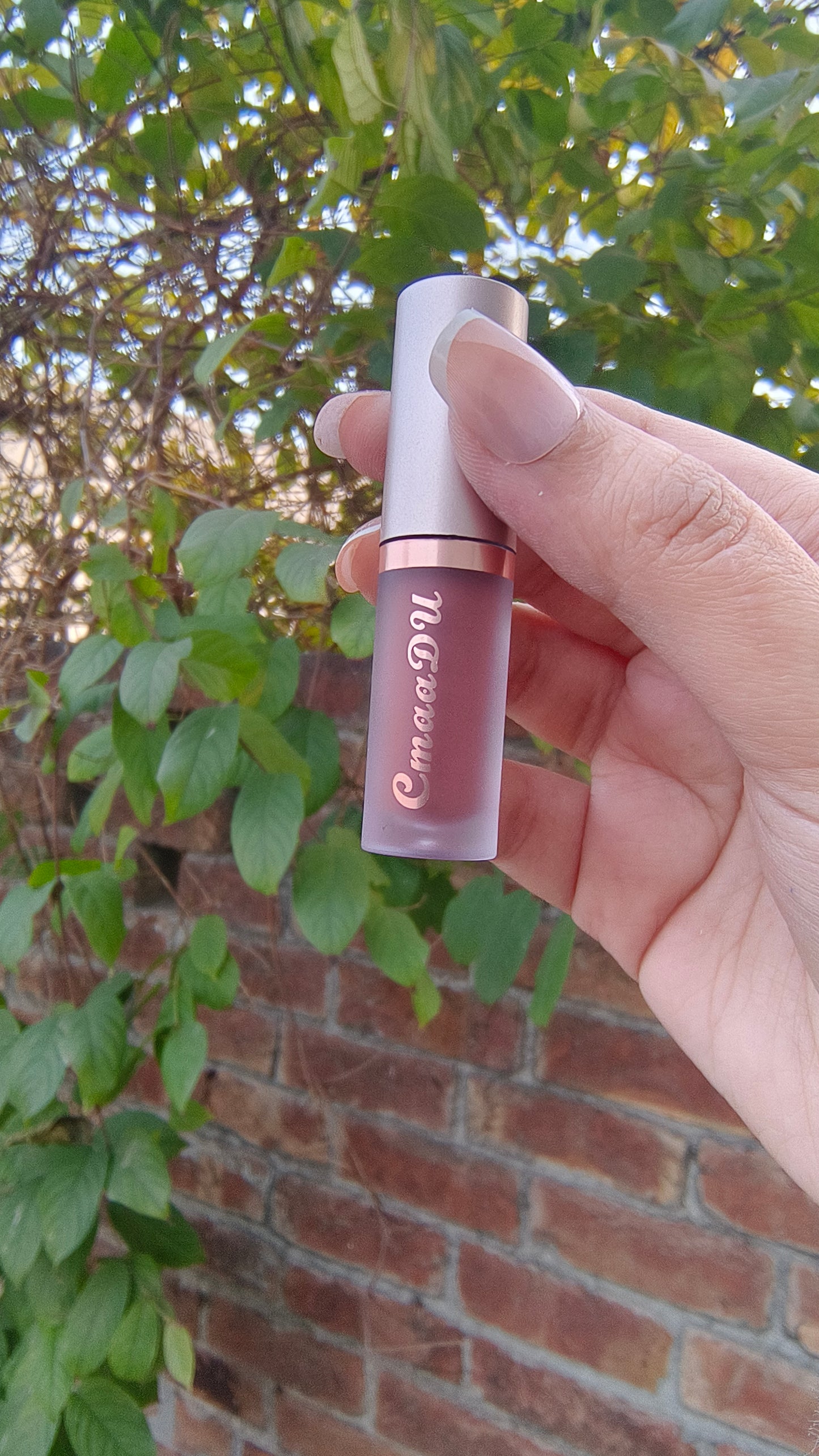 Premium Nude Brown Matte Lip Gloss