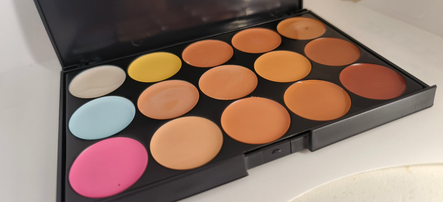 Premium Popfeel Lipstick Pallet 12 colours set