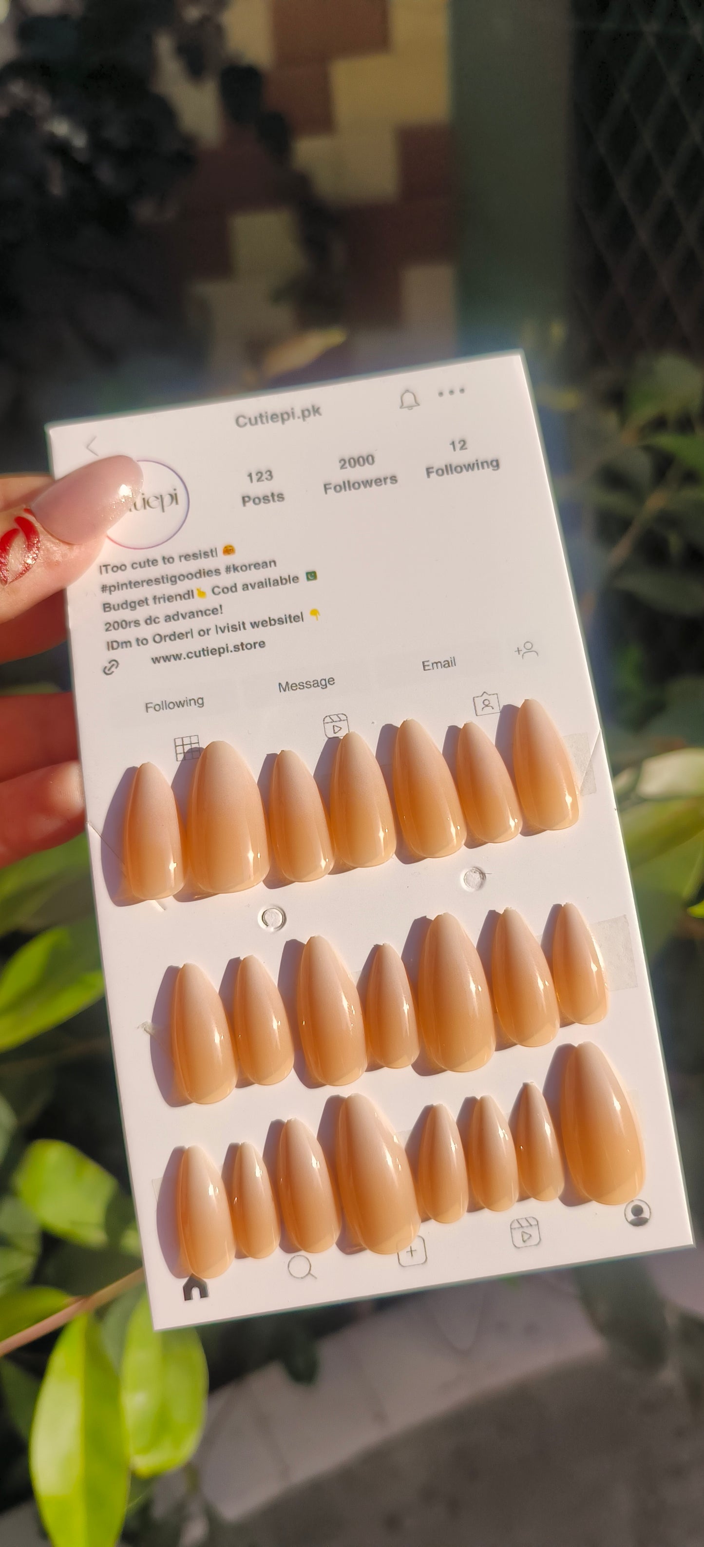 Mocha Elegance – 24pcs with Application Kit