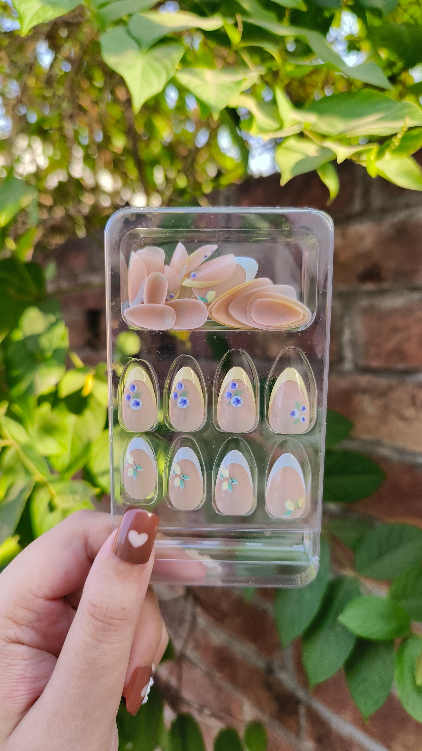 Fruit Bliss: French-Inspired Press-On Nails"