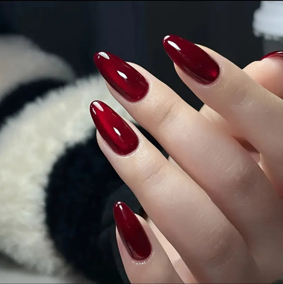 Winter Glam- Premium Cat eye Nails with Application Kit