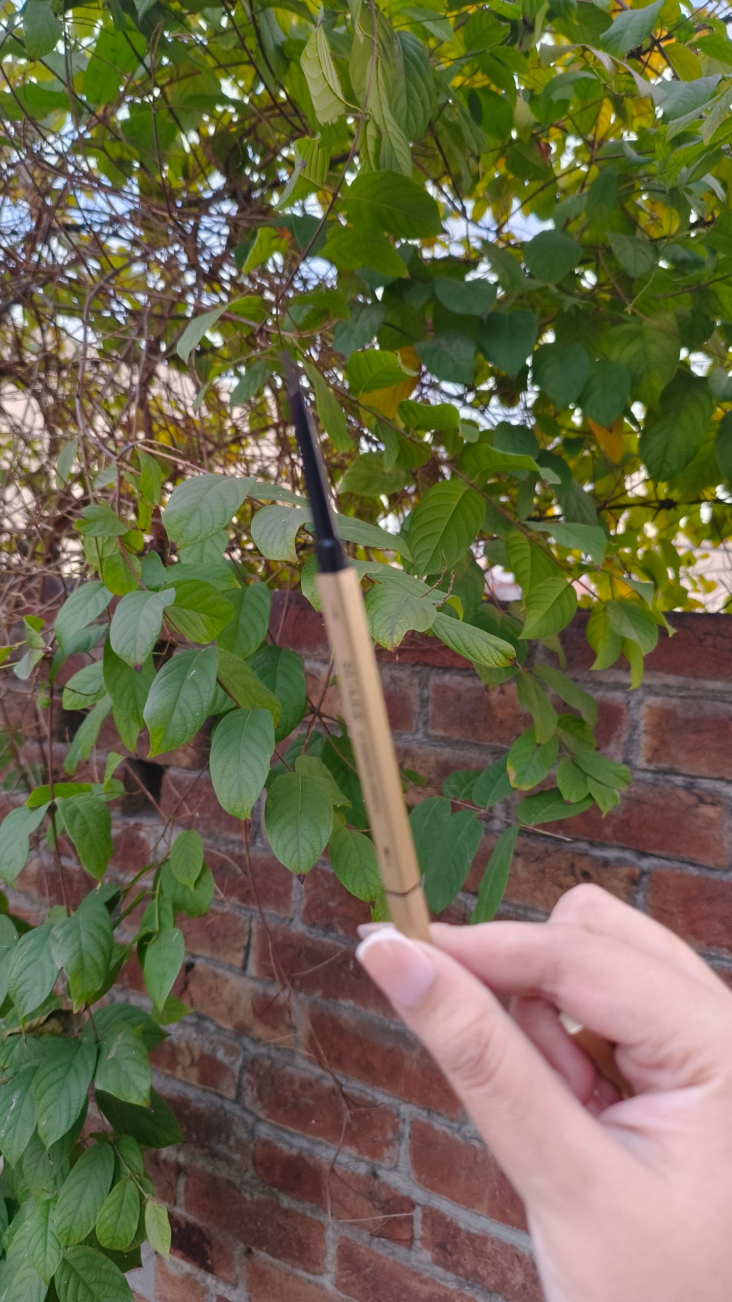 Dual-Sided Premium Eyebrow Pen-Brown