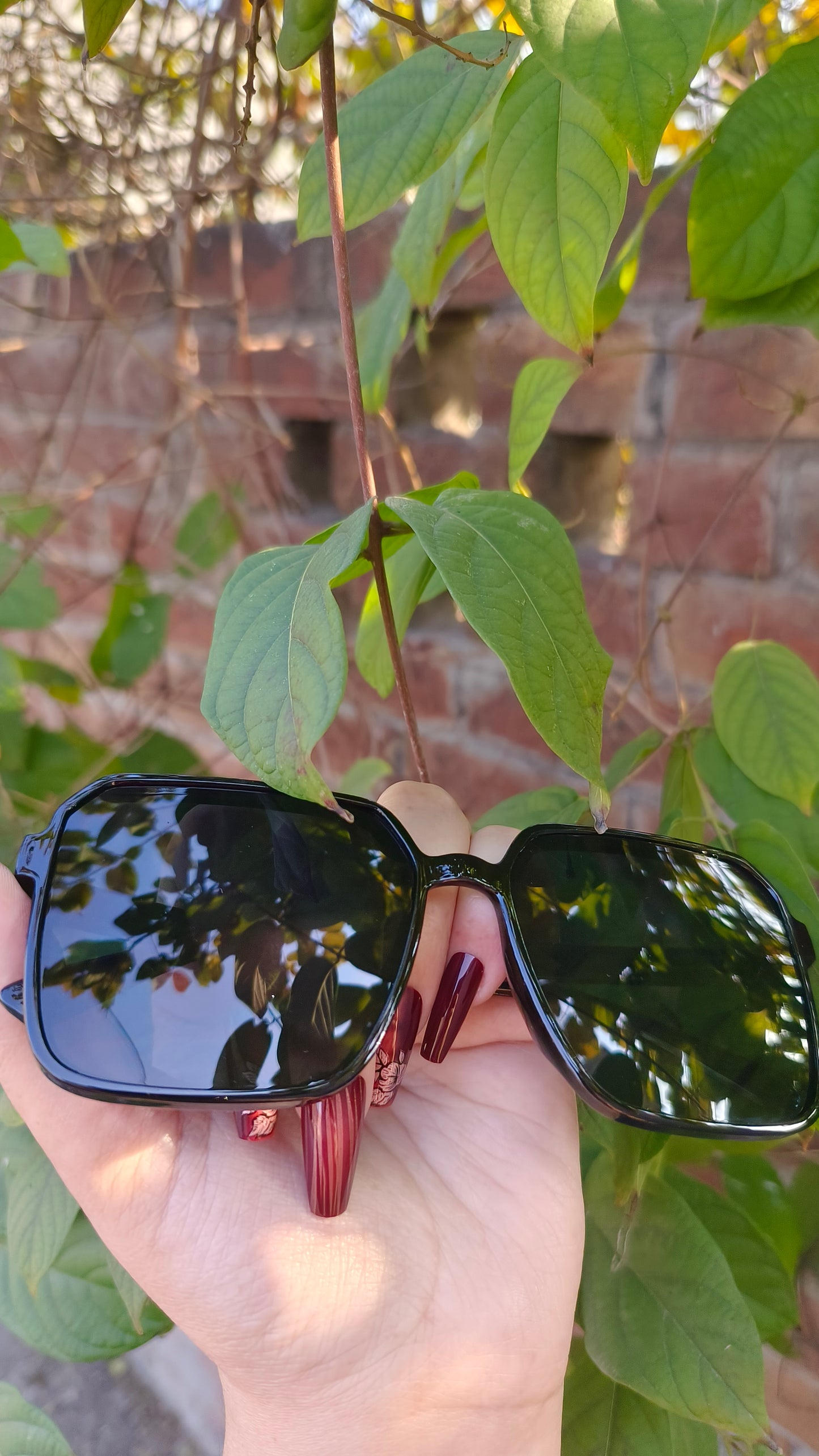 Modern Wide-Frame Glasses – Minimalist & Durable