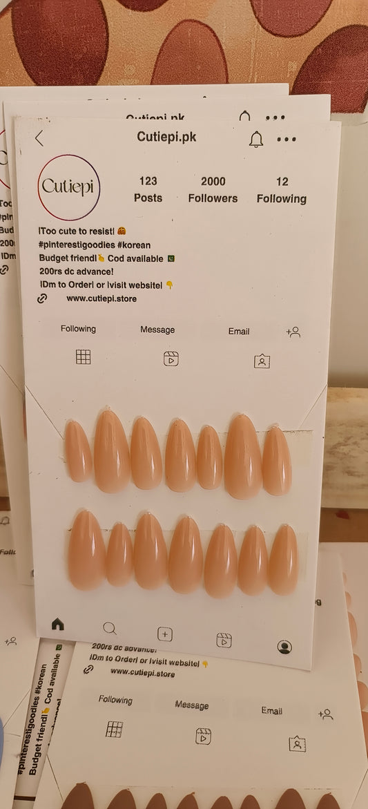 Gradient Nude- 24pcs with Application Kit