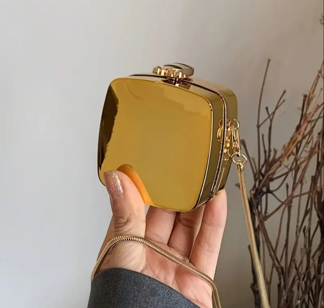 Mini Acrylic Clutch- Glossy and Trendy