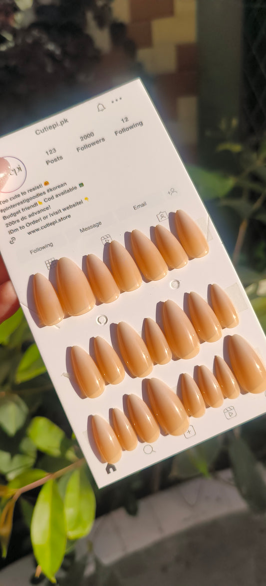 Mocha Elegance – 24pcs with Application Kit