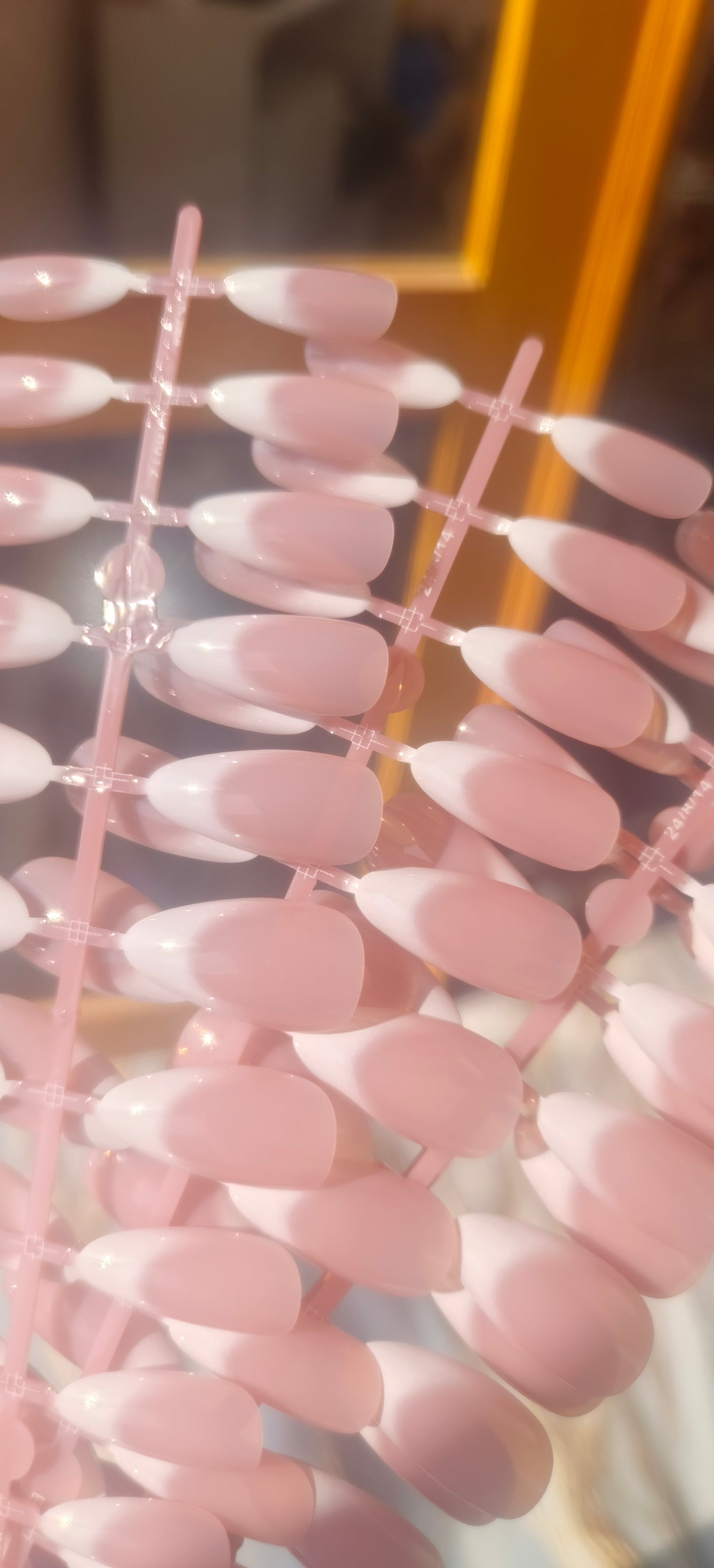 Natural French - Premium 12 pcs with Application Kit