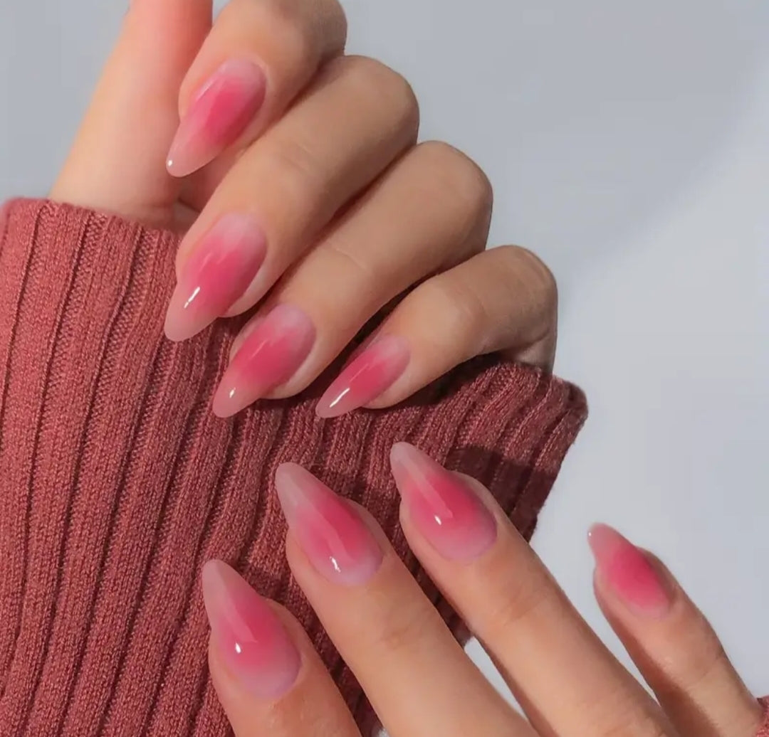 Blush Mist- 24 pcs with Application Kit