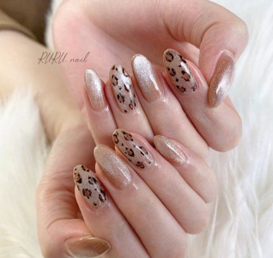 Cat Glaze-24 pcs with Application Kit