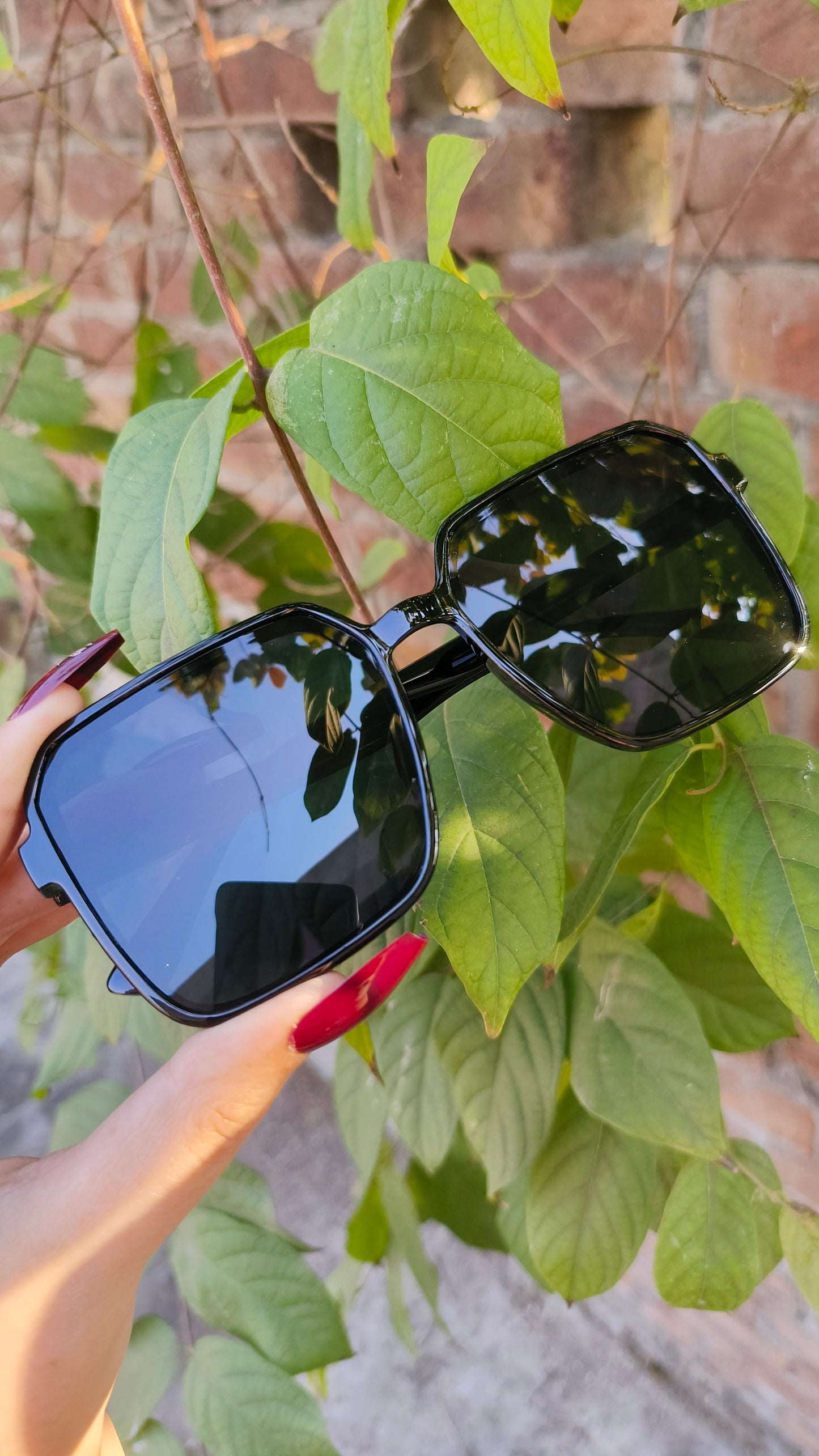 Modern Wide-Frame Glasses – Minimalist & Durable