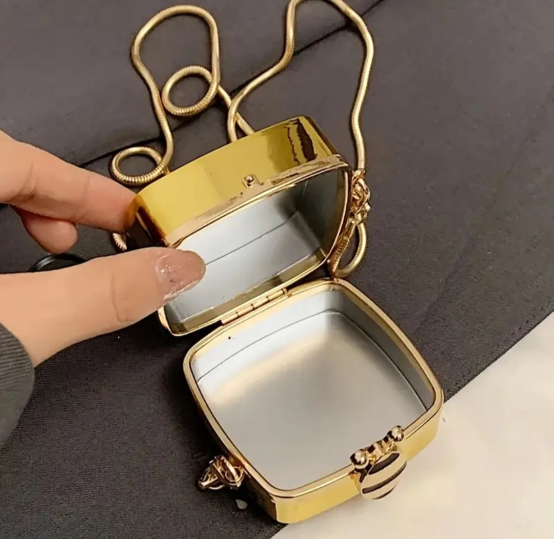 Mini Acrylic Clutch- Glossy and Trendy