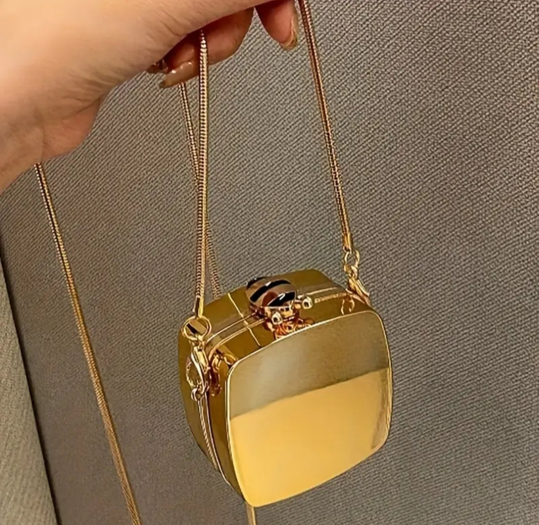 Mini Acrylic Clutch- Glossy and Trendy