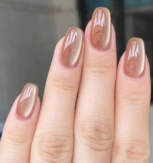 Coffee Glaze- Cat eye nails premium quality- 12pcs with Application Kit