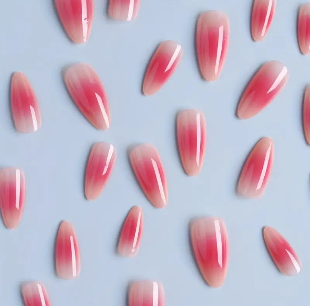 Blush Mist- 24 pcs with Application Kit