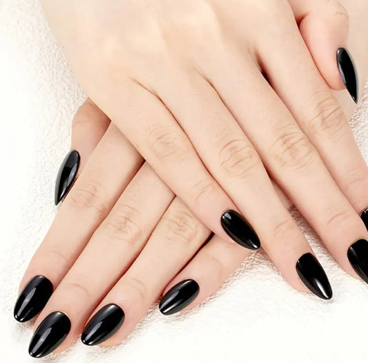 Black Shine- Winter Favourite-15 pcs With Application kit
