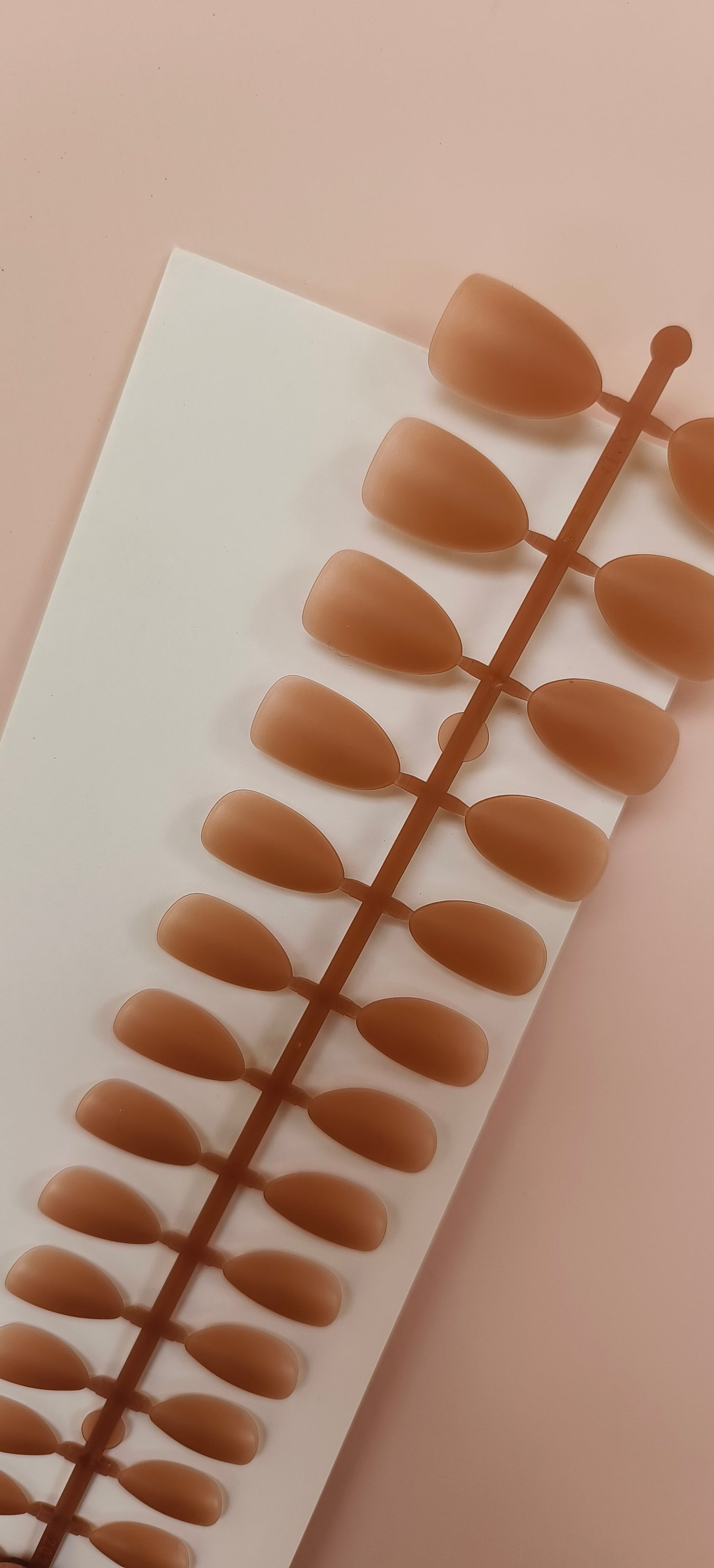 Nude Brown Nails- 15pcs Matte Medium Nails with Application kit