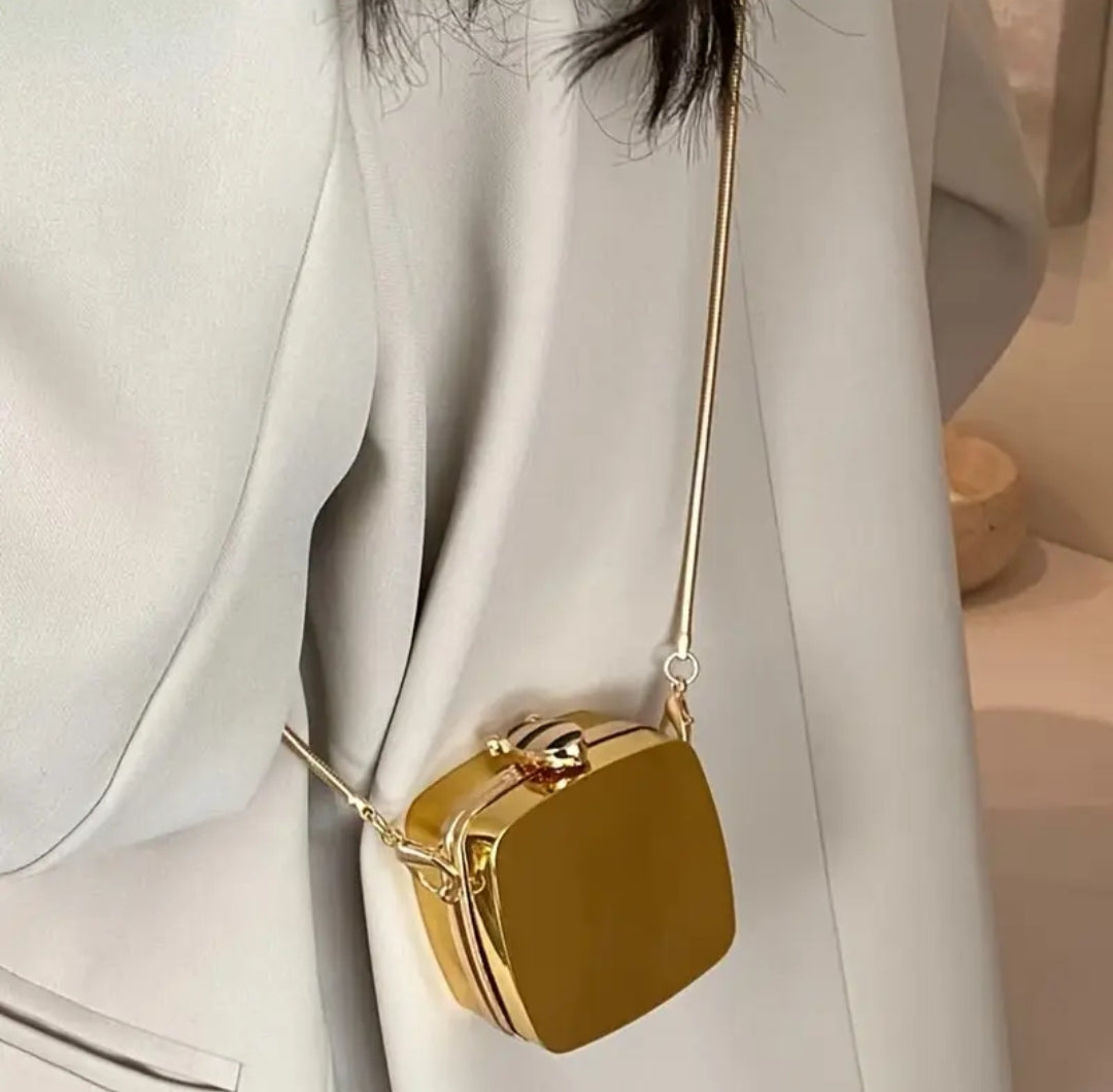 Mini Acrylic Clutch- Glossy and Trendy