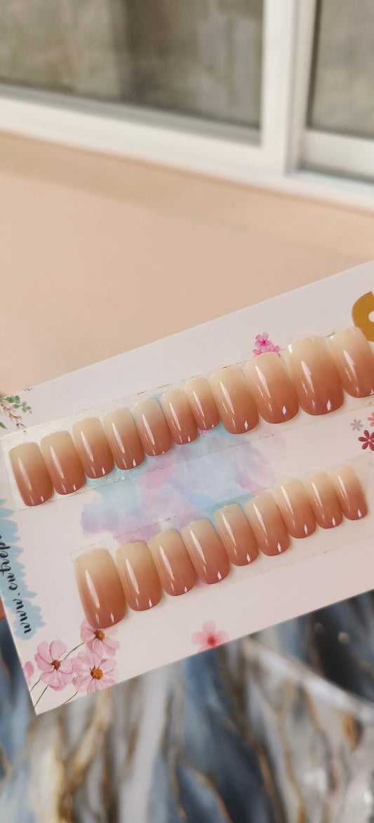 Gradient Ombre- 24pcs with Application Kit