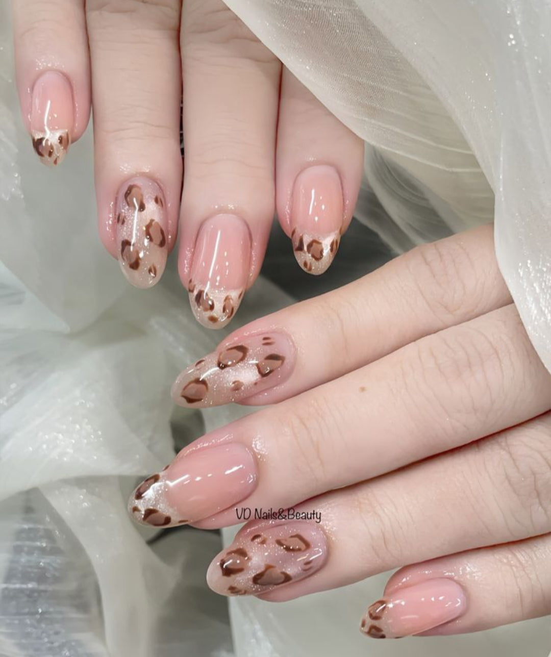 Cat Glaze-24 pcs with Application Kit